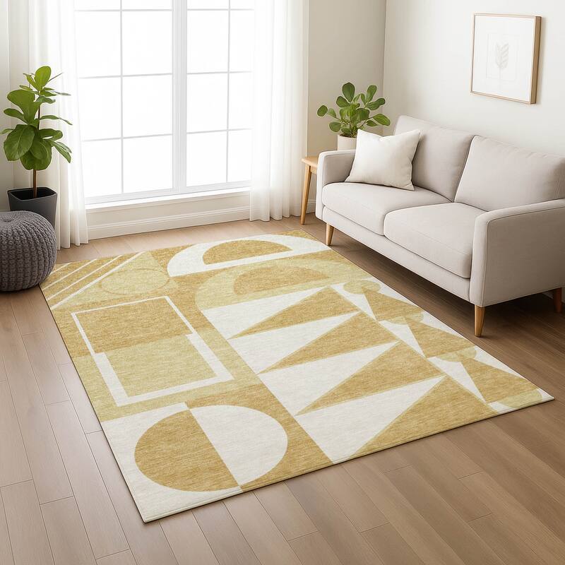 Machine Washable Indoor/ Outdoor Modern Crowley Chantille Rug