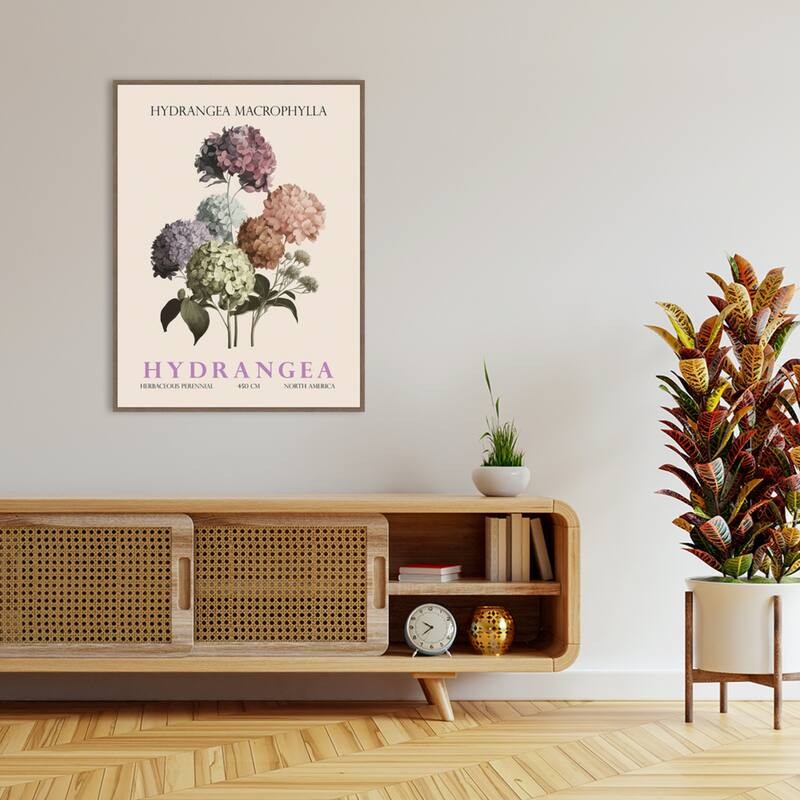Vintage Botanical Hydrangea Illustration by Christopher Giampietro Framed Canvas Wall Art Print