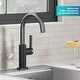 preview thumbnail 112 of 124, Kraus Oletto Single Handle 1-Hole Kitchen Bar Faucet