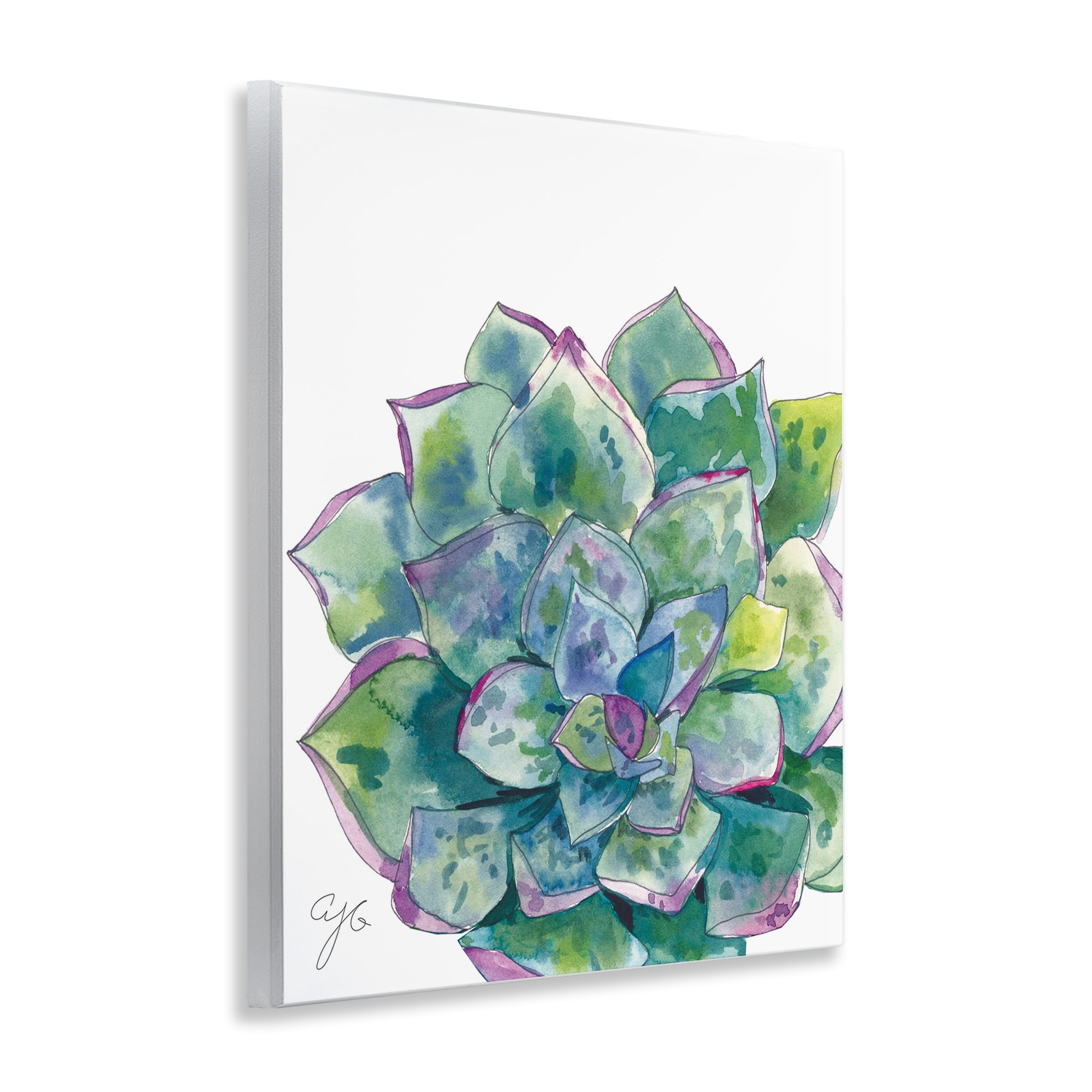 Stupell Abstract Succulent Watercolor Wall Plaque Art Design By Alexandria  Gilbert Kincaid - On Sale - Bed Bath & Beyond - 41364327
