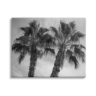 Stupell Tall Tropical Palm Trees Black White Photography Canvas Wall ...