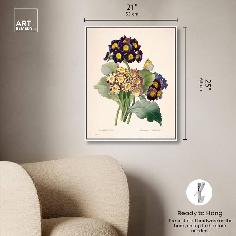 Auricula Varieties Canvas by Art Remedy