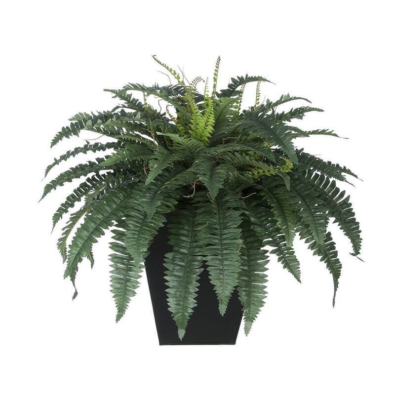 Faux Fern in Square Zinc Planter - Black