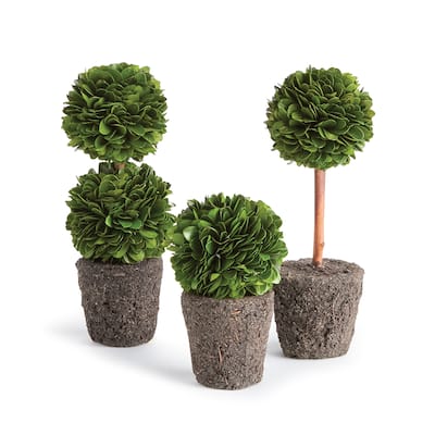 Boxwood Mini Topiary Drop-Ins