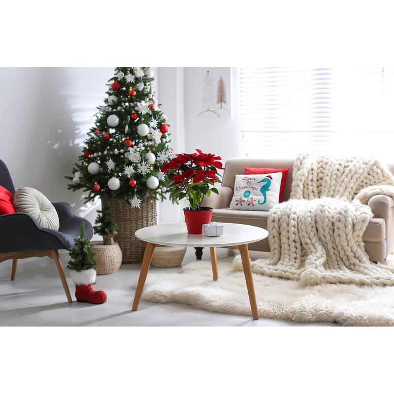 Seas and Greetings Christmas Accent Pillow