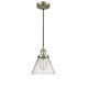Option Antique Brass / Clear