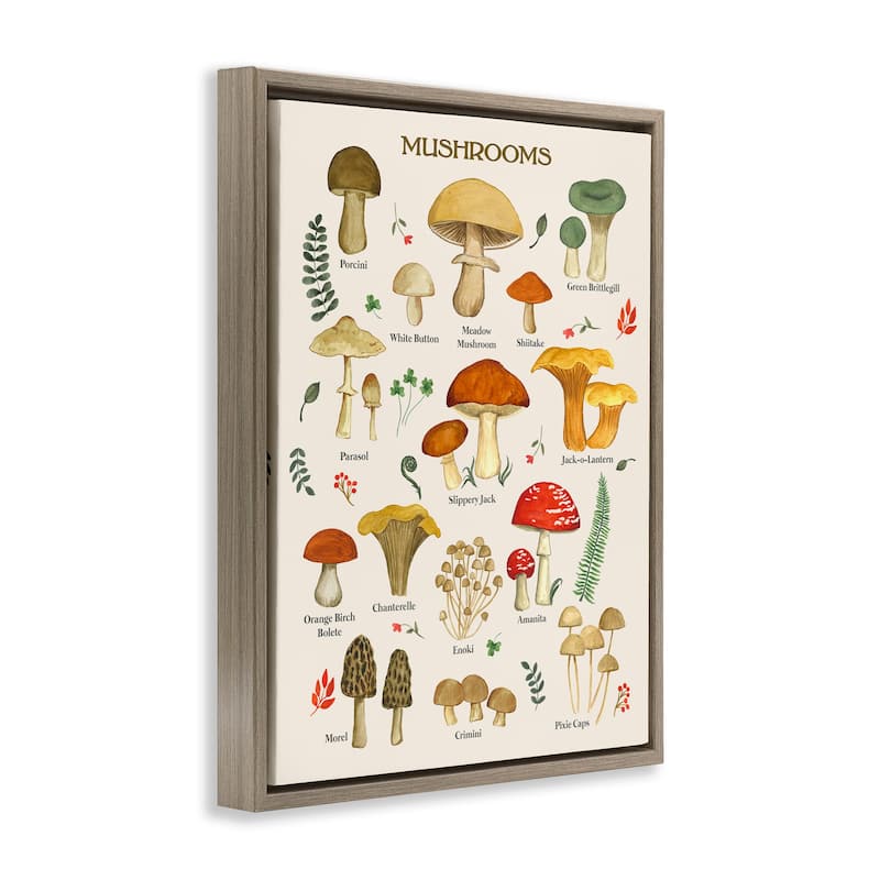 Stupell Foraging Mushrooms Studies Framed Floater Canvas Wall Art Design by Sharon Lee