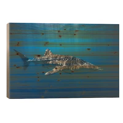 Whale Shark In The Blue Print On Wood by Barathieu Gabriel - Multi-Color
