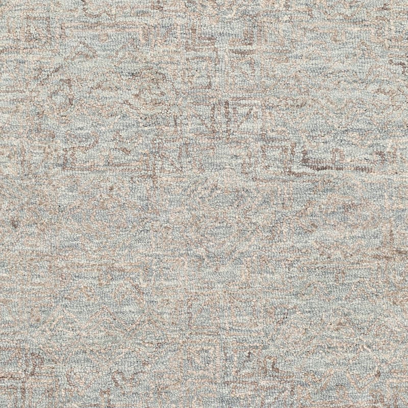 Livabliss Transitional Newcastle Tribal Area Rug