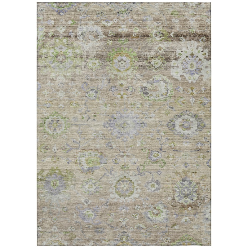 Machine Washable Indoor/ Outdoor Vintage Traditional Chantille Rug