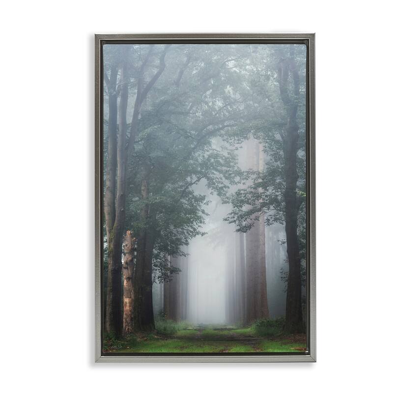 Stupell Calm Forest Clearing Framed Floater Canvas Wall Art Design By Martin Podt - 21 x 31 - Grey
