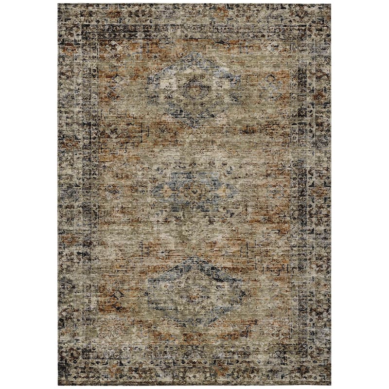 Machine Washable Indoor/Outdoor Vintage Traditional Chantille Rug