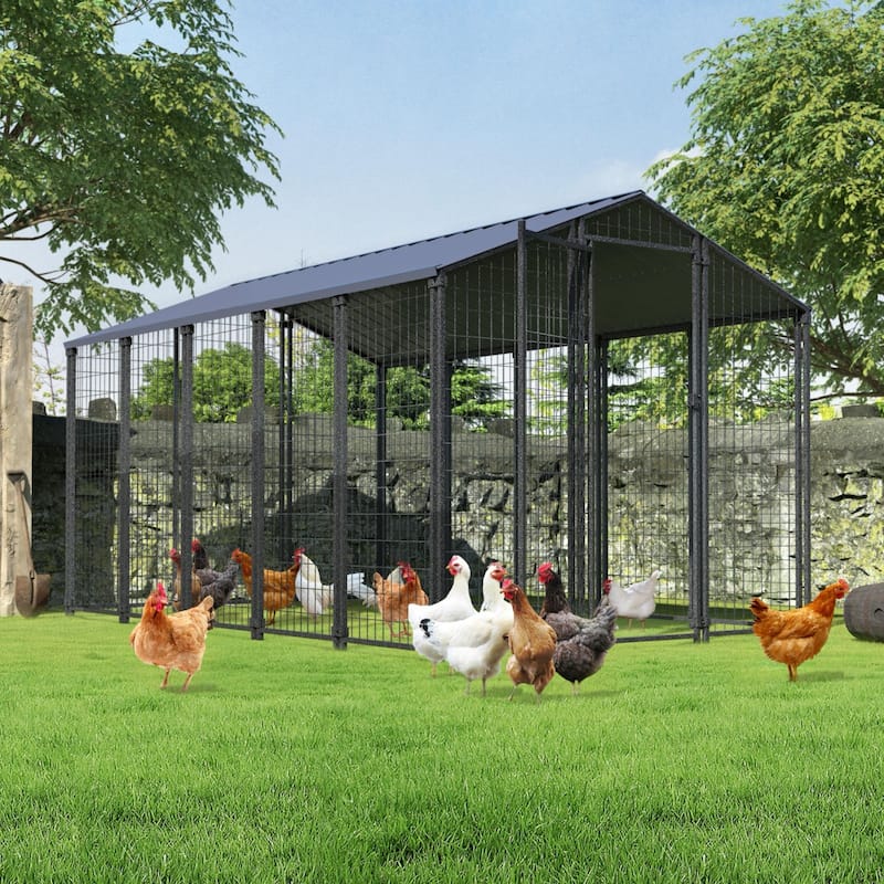 VEIKOUS Large Metal Chicken Coop, Heavy-Duty Walk-In Poultry Pen with Rust-Resistant Galvanized Steel - 10.6 ft × 6.2 ft - 10.6 ft × 6.2 ft