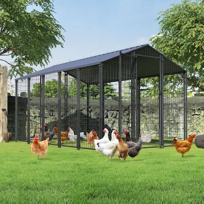 VEIKOUS Large Metal Chicken Coop, Heavy-Duty Walk-In Poultry Pen with Rust-Resistant Galvanized Steel - 10.6 ft × 6.2 ft