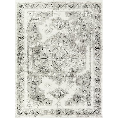 Appert Vintage Traditional Area Rug