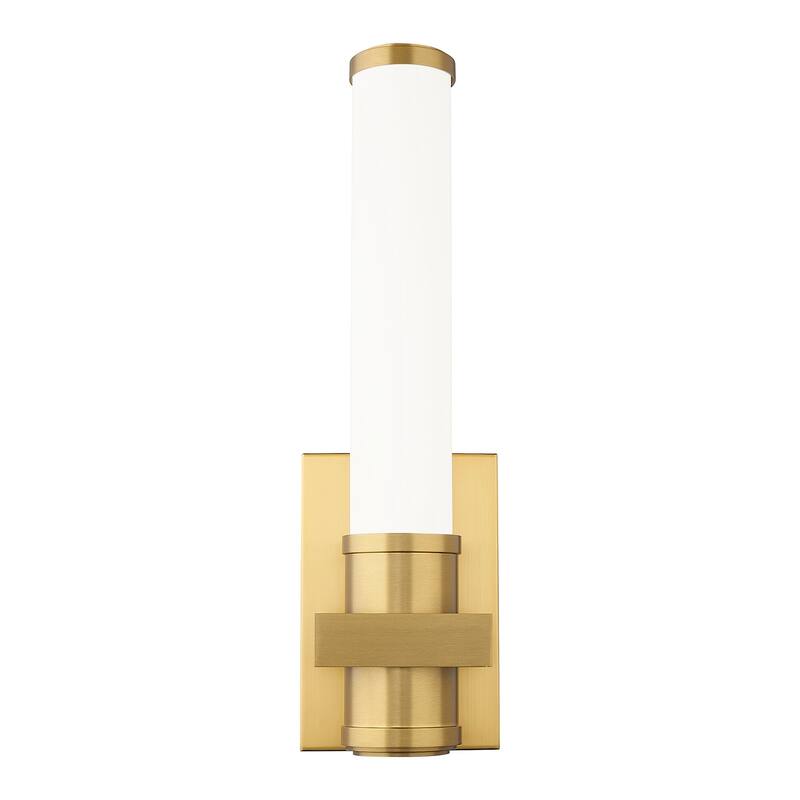 Z-Lite 1019-1S-LED Idris 17" Tall Bathroom Sconce