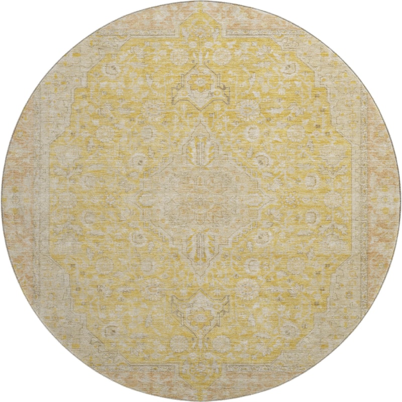 Premium Washable Super Soft Vintage Traditional Mayfield Rug