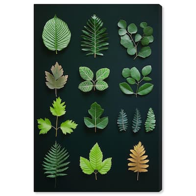 Leaf Library I Canvas by Art Remedy, Gallery Wrapped