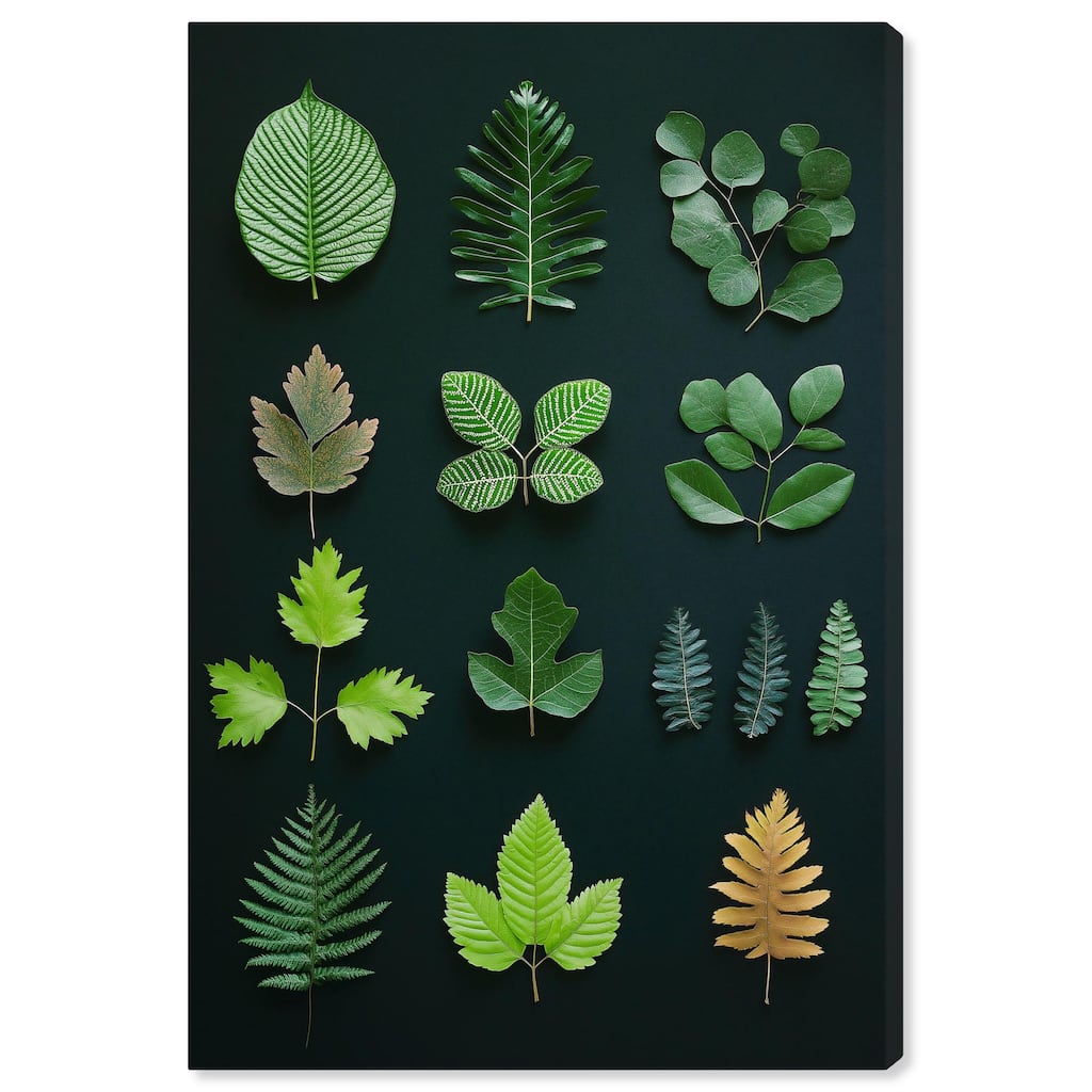 Leaf Library I Canvas by Art Remedy, Gallery Wrapped