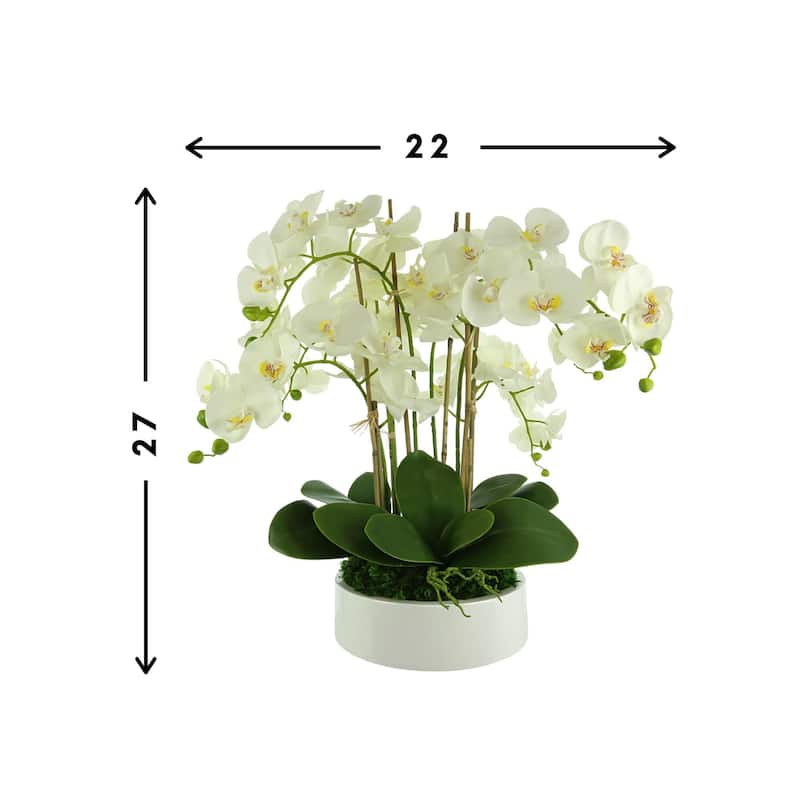 Orchid Arrangement in a Round Planter with Leaves and Moss - White, Green