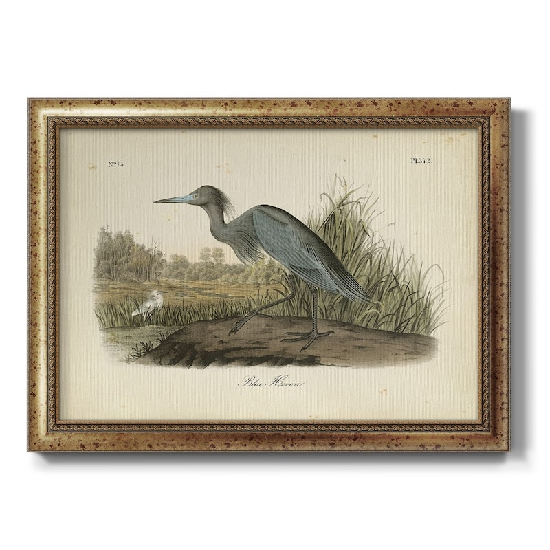 Audubons Blue Heron Premium Framed Canvas- Ready to Hang - 16X20 - Gold