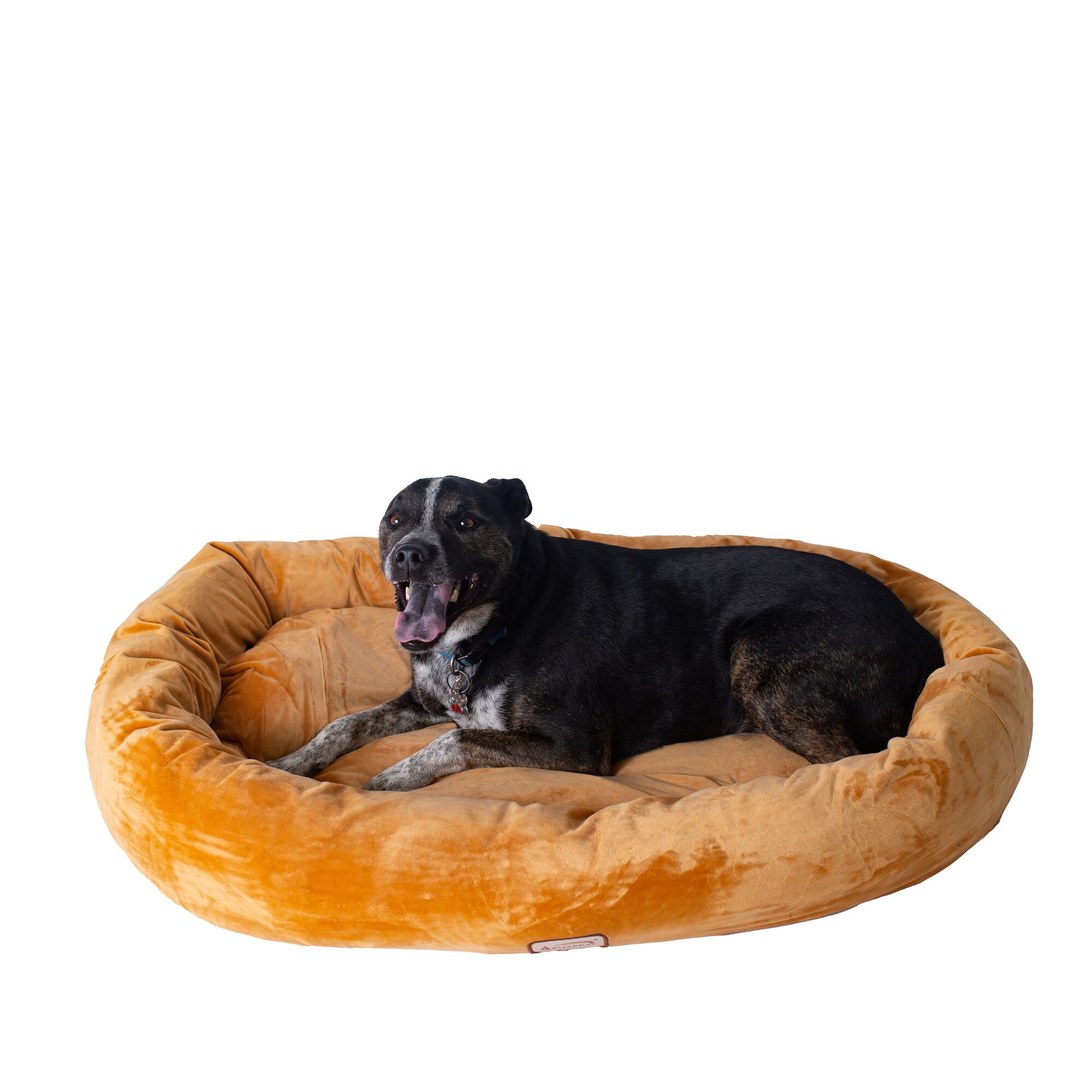 large soft dog bed