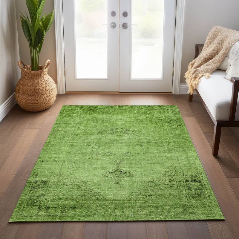 Machine Washable Indoor/ Outdoor Chantille Vintage Traditional Rug