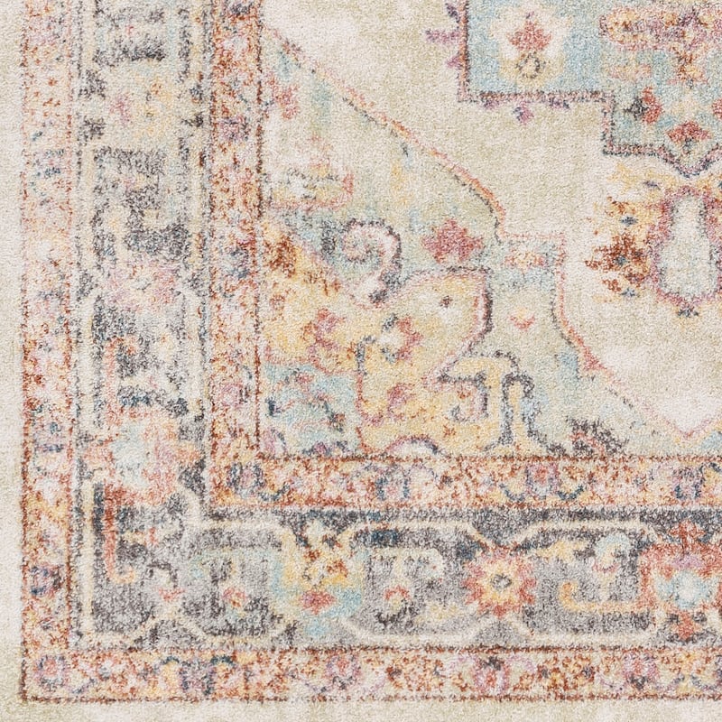 Livabliss Hari Vintage Persian Area Rug