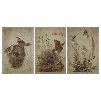 Decorator Paper with Bird Prints, Set of 3 - 24.0"L x 0.1"W x 36.0"H