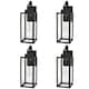 Option Medium(4 PACK)