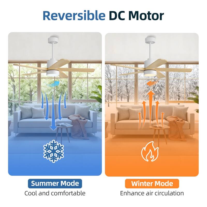 WINGBO 54" and 64" 5 ABS Blades DC Motor Indoor Ceiling Fan with Light & Remote