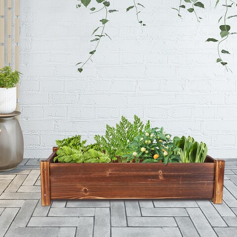Carbonized Wood Raised Garden Bed Kit Elevated Planter Box For Growing - 26x13x6 inch