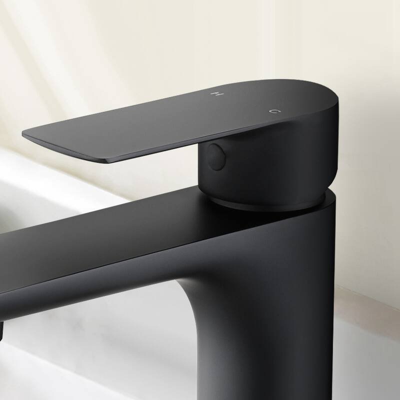 Topcraft Single Handle Stainless Steel Bathroom Sink Faucet