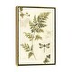 preview thumbnail 7 of 7, iCanvas "Ivies and Ferns III" by Lisa Audit Framed Canvas Print Gold - 26x18
