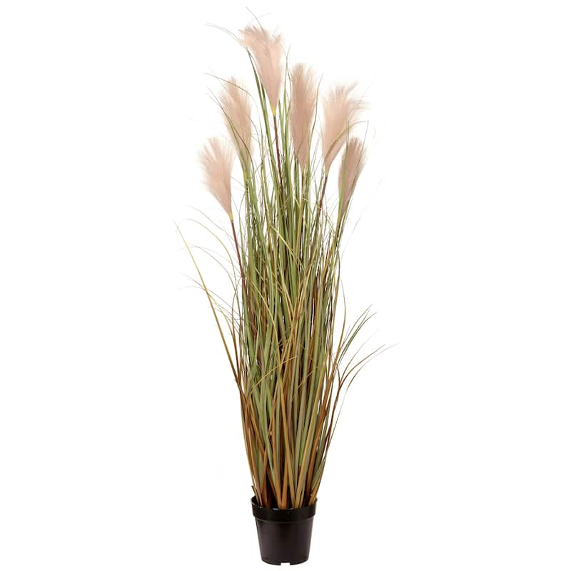 Potted Sandy Dunes Grass X 6 Plumes 48"