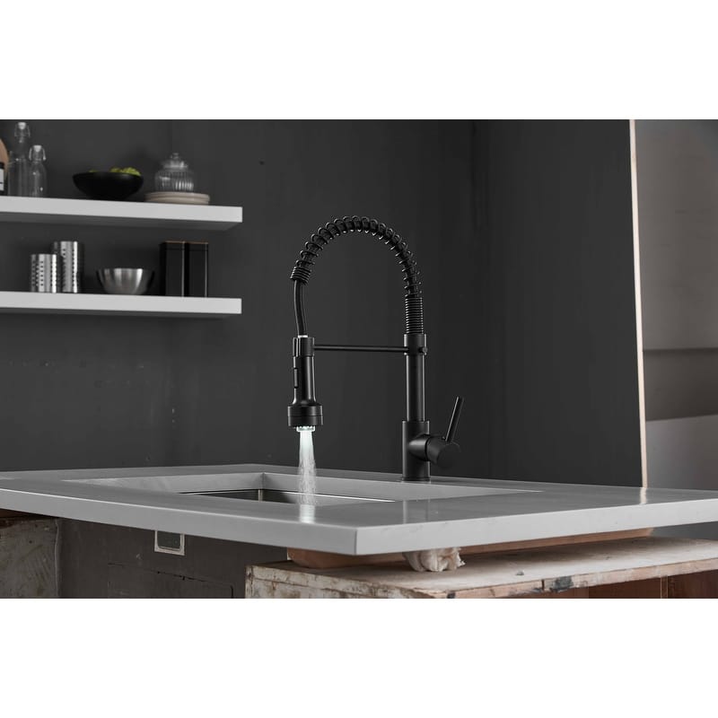 Pull Down Spray Swivel Kitchen Faucet w/LED 2 Spout