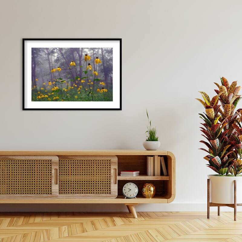 Coneflower by Kelly Sinclair Wood Framed Wall Art Print