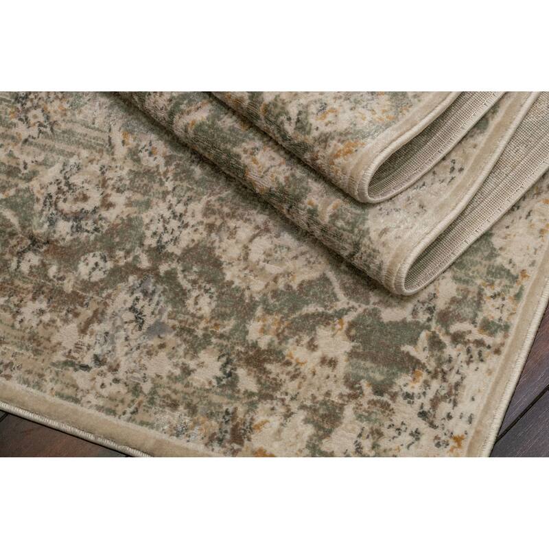Dynamic Rugs Charlotte Traditional Area Rug