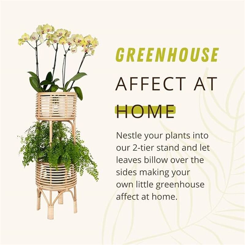 Rattan Indoor Plant Stand