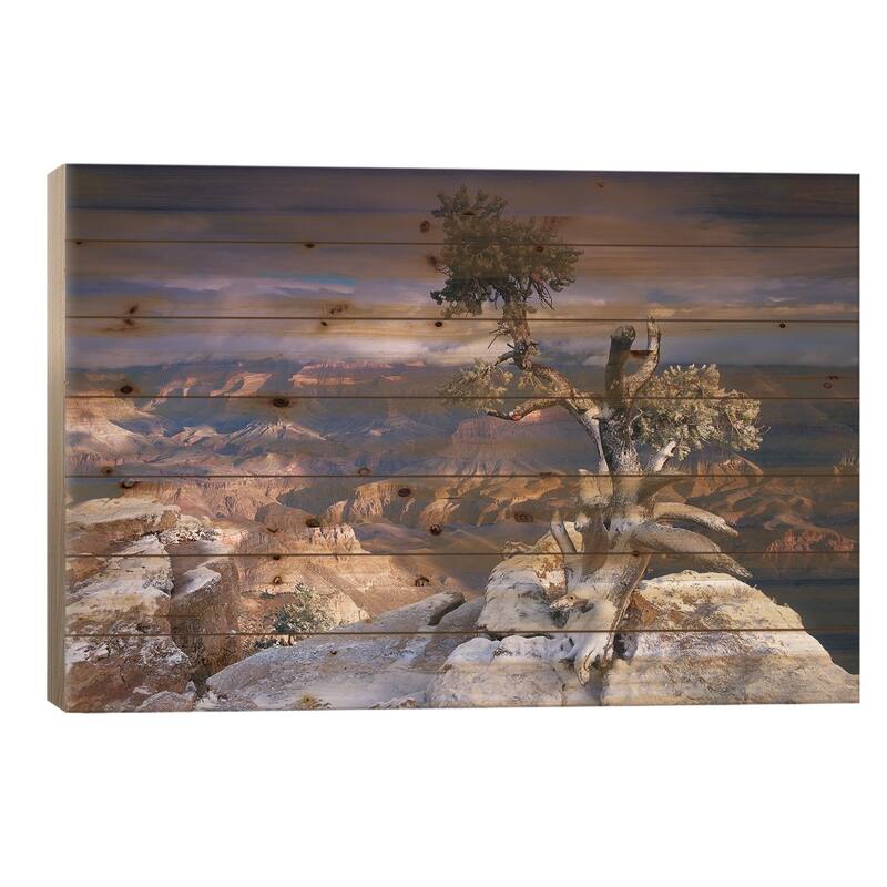 Grand Canyon With A Dusting Of Snow Seen From Yaki Point, Grand Canyon National Park, Arizona Print On Wood by Tim Fitzharris - 26x40x1.5