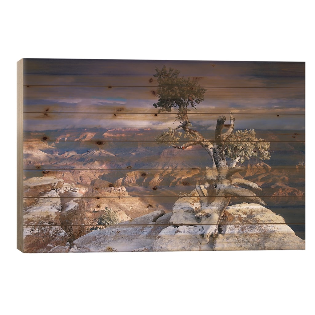 Grand Canyon With A Dusting Of Snow Seen From Yaki Point, Grand Canyon National Park, Arizona Print On Wood by Tim Fitzharris