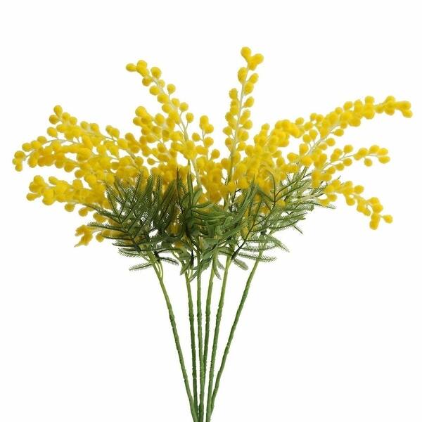 Acacia Flower Shop Best Flower Wallpaper