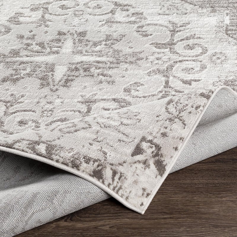 Livabliss St Tropez Updated Traditional Medallion Area Rug.
