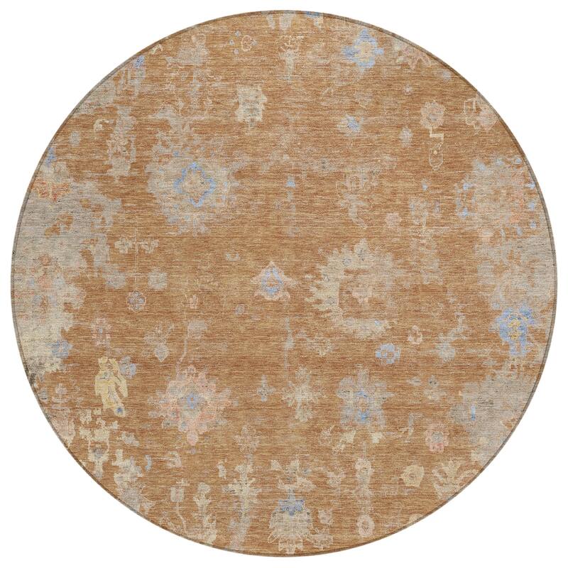 Machine Washable Indoor/ Outdoor Vintage Traditional Chantille Rug