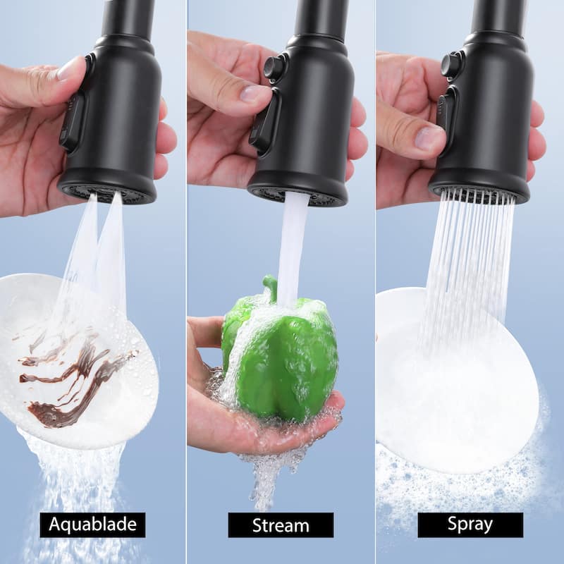 Pull Down Kitchen Faucet Head Replacement with 9 Adapter Kit