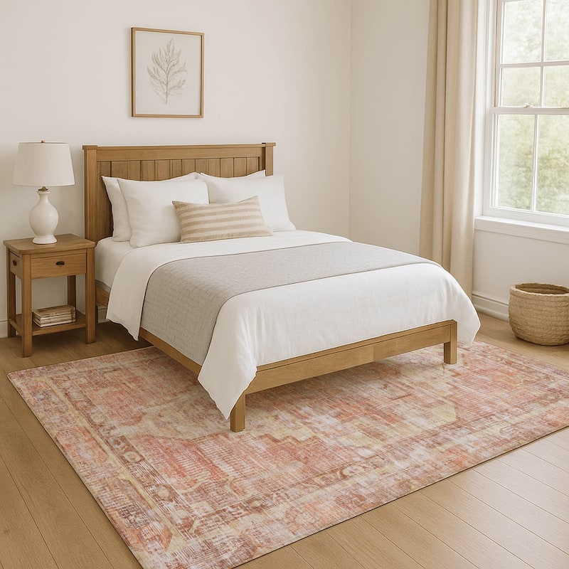 Premium Washable Super Soft Vintage Traditional Mayfield Rug