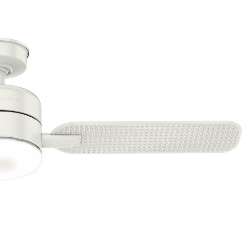 Casablanca 54" Paume Outdoor Ceiling Fan with LED Light Kit and Wall Control - Coastal - DAMP RATED!
