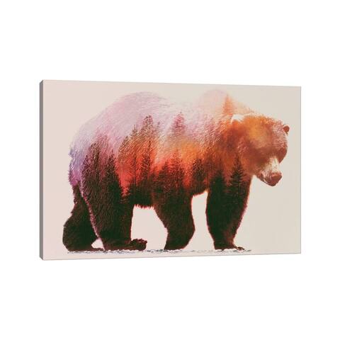 iCanvas "Brown Bear" by Andreas Lie Canvas Print
