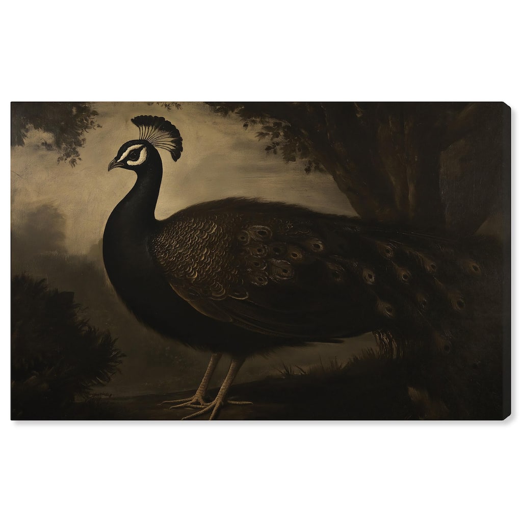 Peacock in Monotone Canvas by Art Remedy, Gallery Wrapped