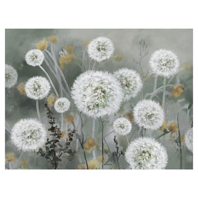 Wild Wishes by Studio Arts Canvas Art Print